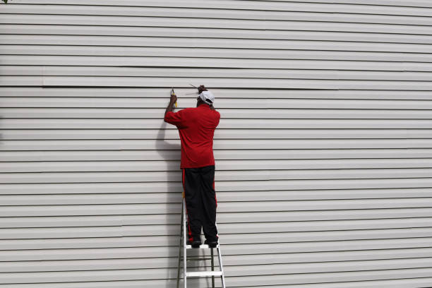 Best Vinyl Siding Installation  in Upper Sandusky, OH